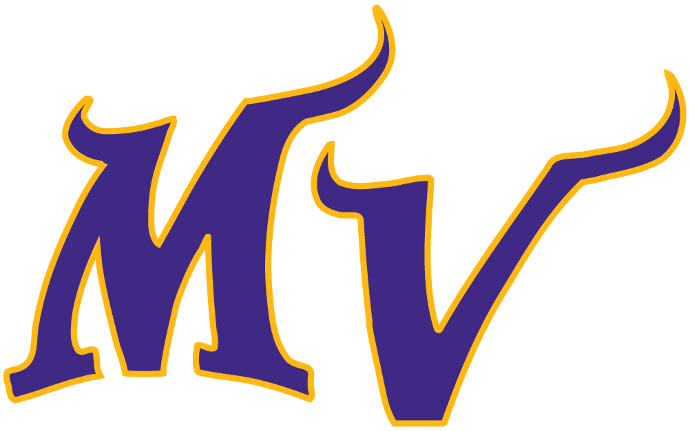 Minnesota Vikings 2004-Pres Alternate Logo iron on paper